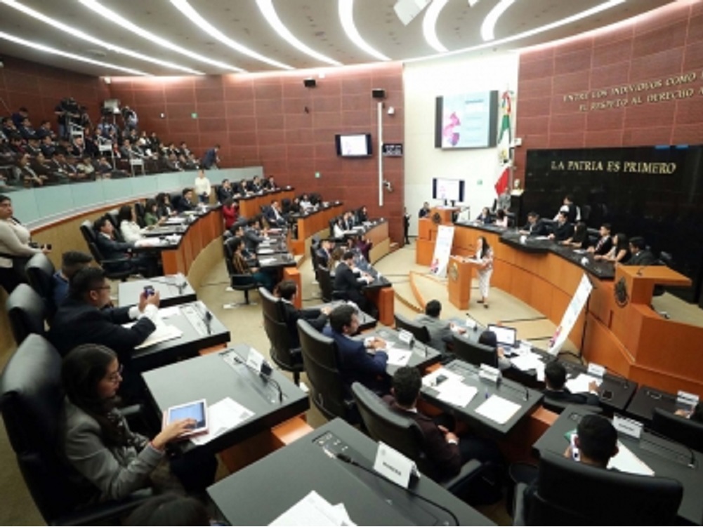 Analizan senadores reforma de ley sobre productos lácteos