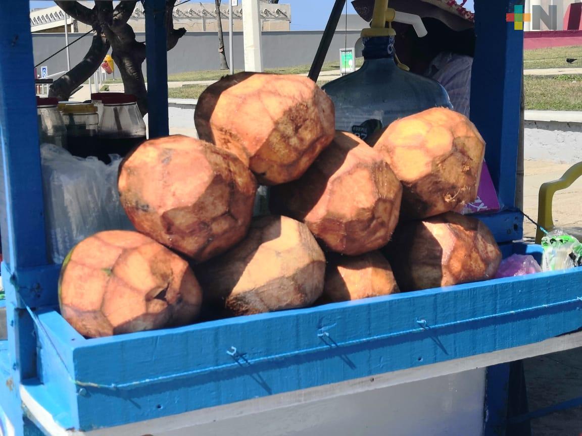 En Coatzacoalcos buscan reactivar la producción de coco