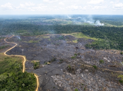 Declaran emergencia climática en todo el mundo