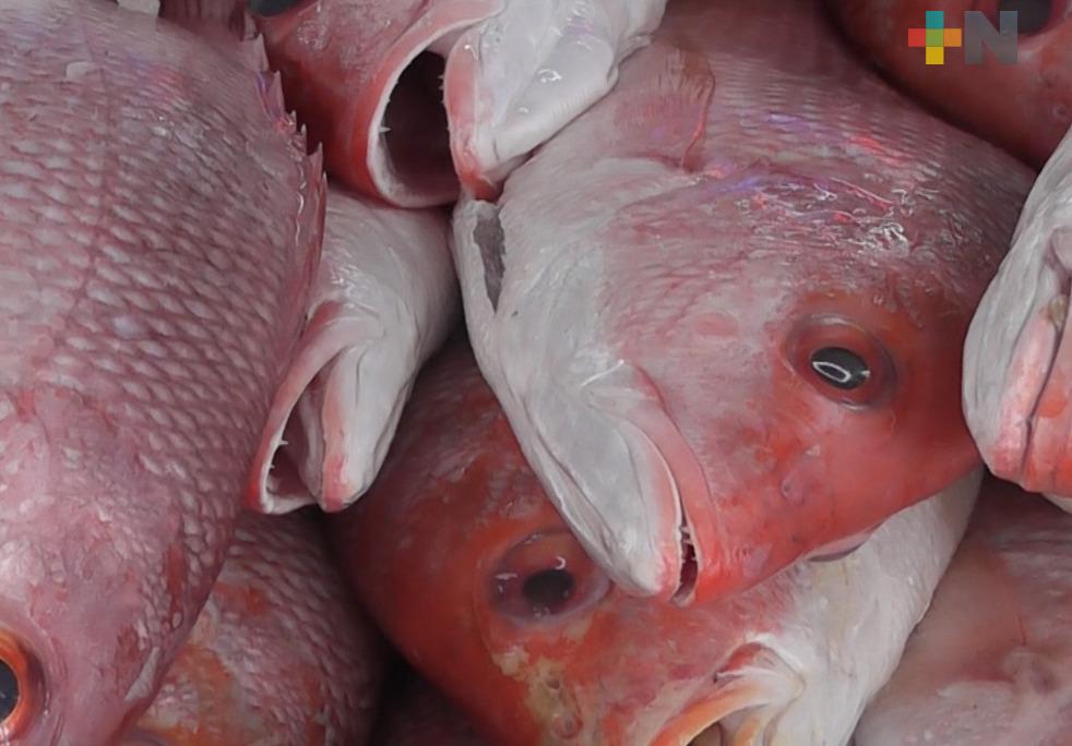 Descartan ajustes al precio del pescado, pese a la escasez