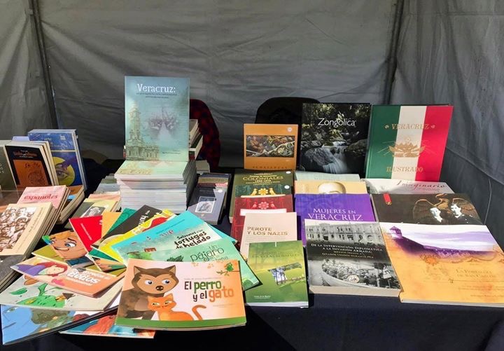 Participa Editora de Gobierno en el encuentro “Veracruz en Los Pinos”