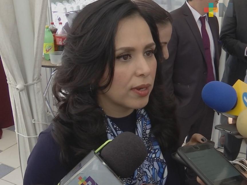 Presidenta del TEV descarta despido de personal