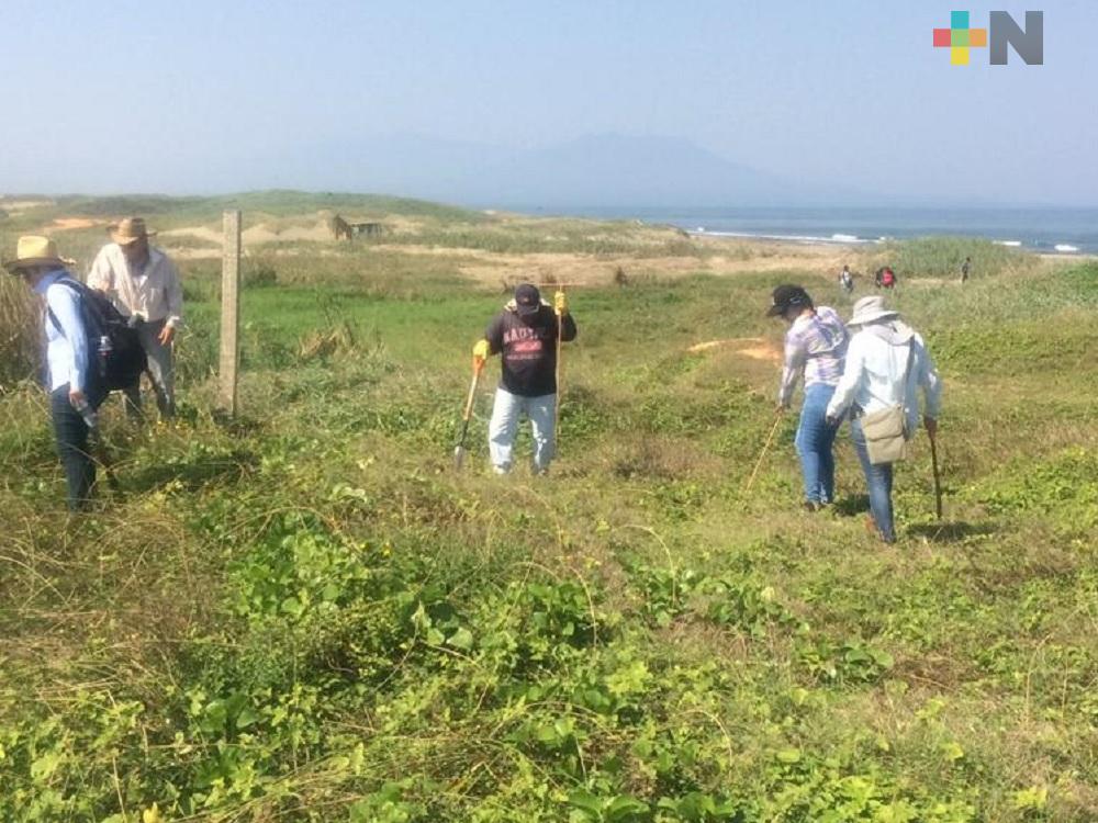 Encuentran fragmentos óseos en playas de Coatzacoalcos