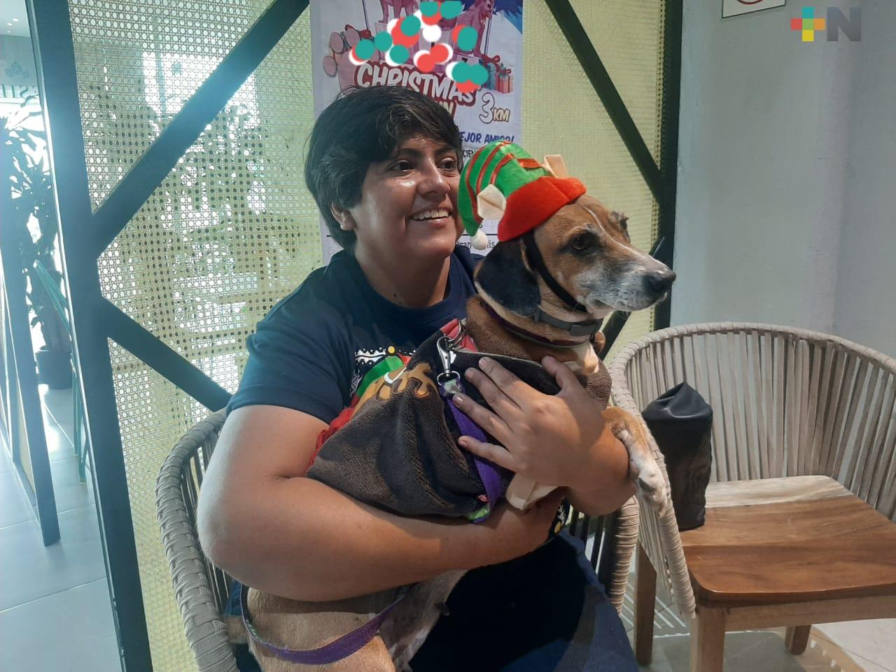Recomiendan no obsequiar mascotas en Navidad; 7 de cada 10 son abandonadas