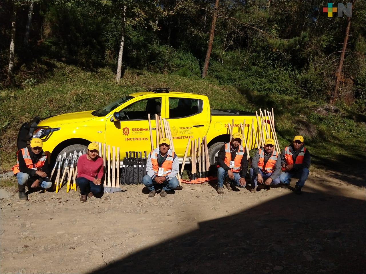 Evalúa SEDEMA daños por incendios forestales en la zona norte