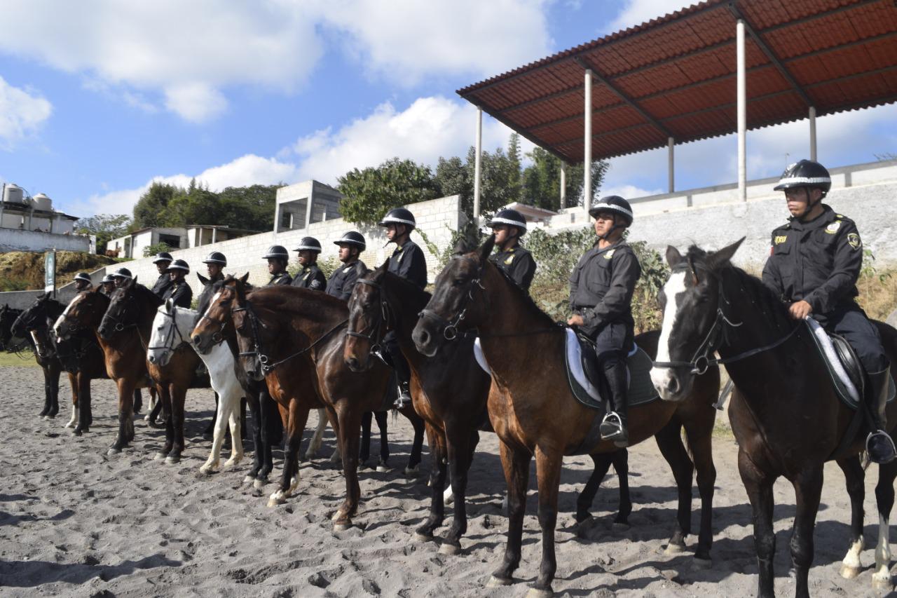 Contará IPAX con agrupamiento de caballería