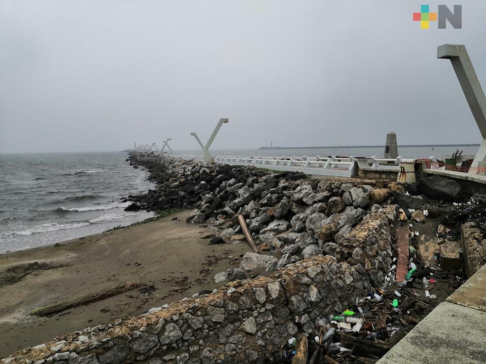 En Coatzacoalcos se esperan rachas de viento superiores a los 70 km/h