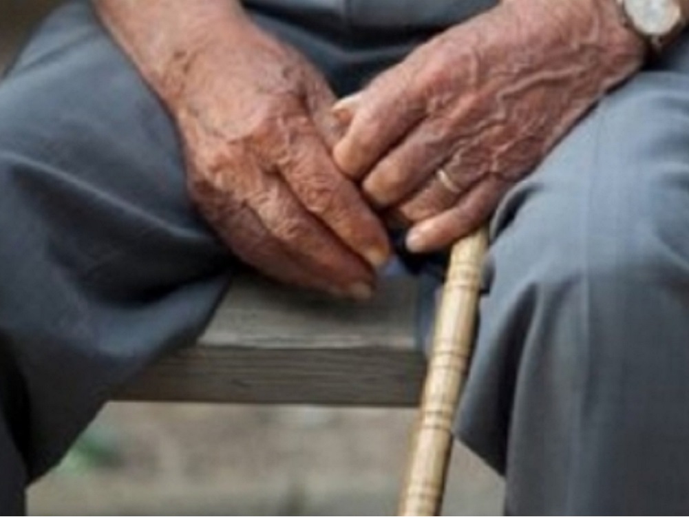 Identifican bacteria intestinal que podría retrasar aparición de Parkinson