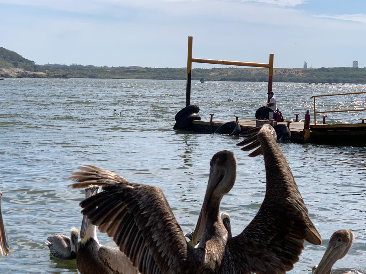 Pescador en el paso de lanchas, Coatzacoalcos