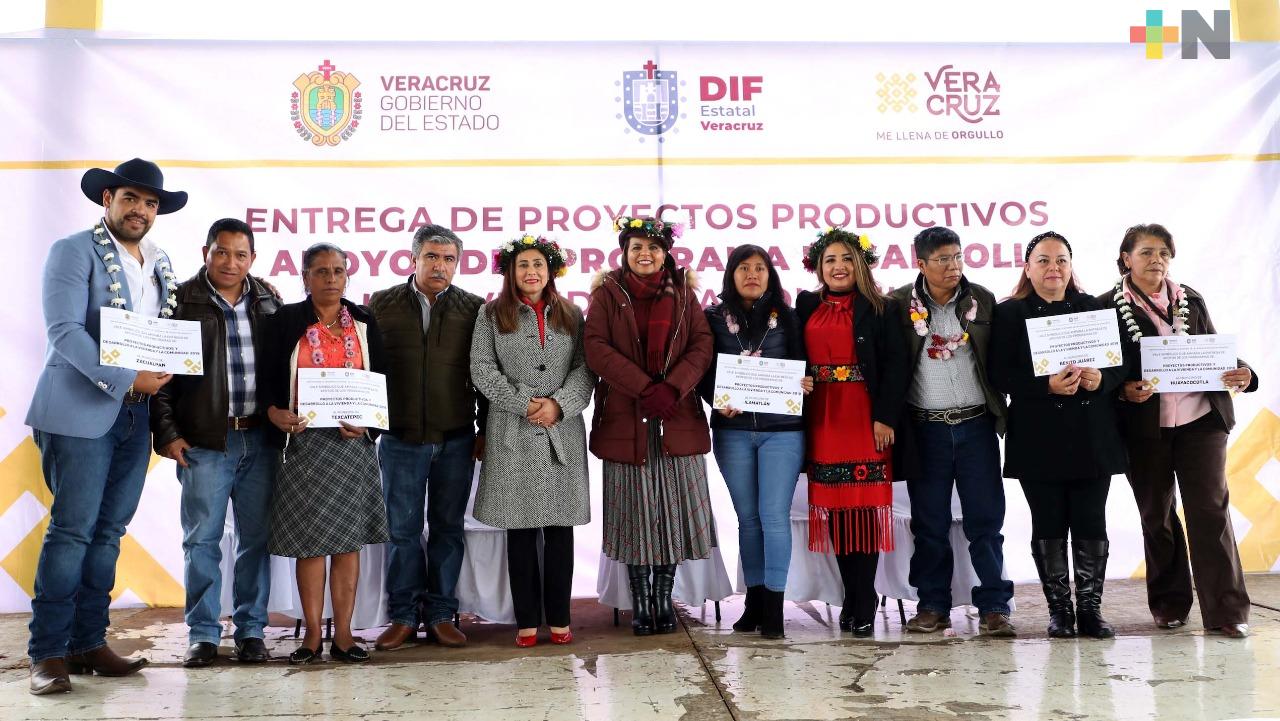 Entrega DIF insumos de “Proyectos Productivos” y “Desarrollo a la Vivienda y la Comunidad”