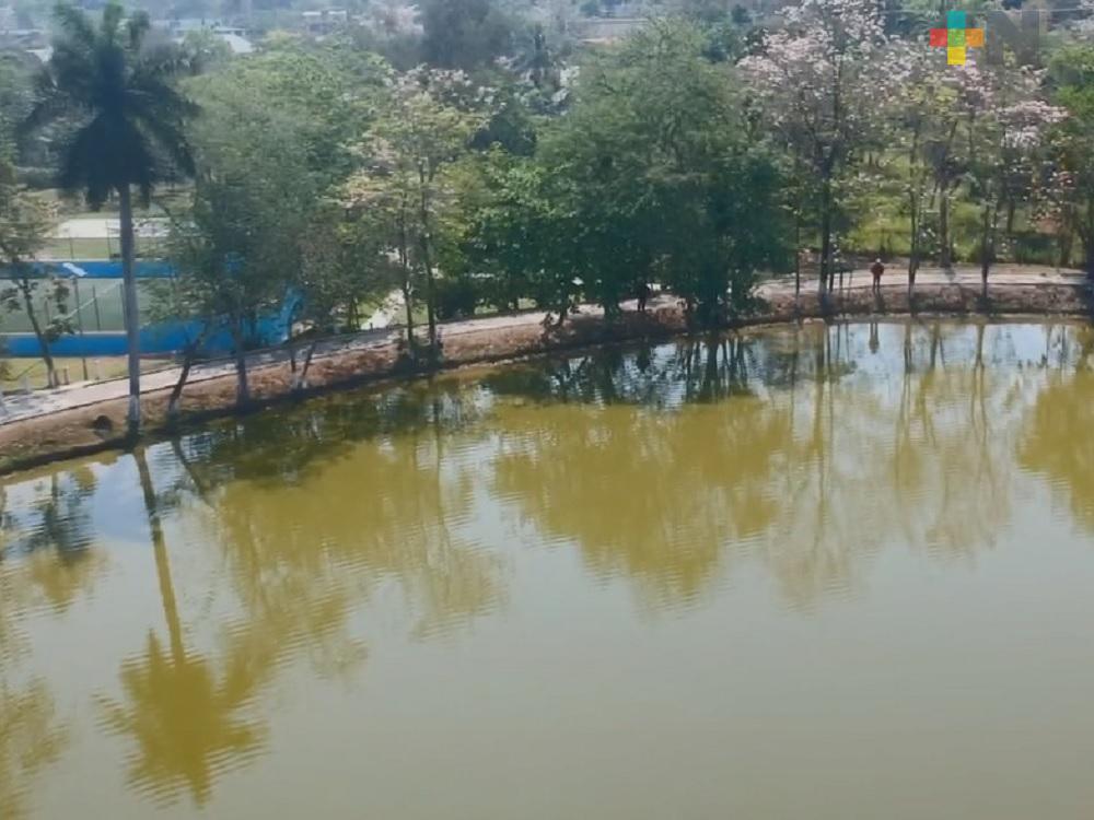 PMA participará en la fiscalización de obra pública en materia ambiental