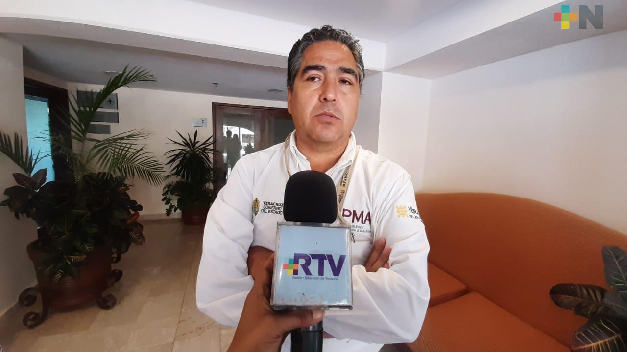 PMA investiga causas de muerte de tortugas en Alvarado