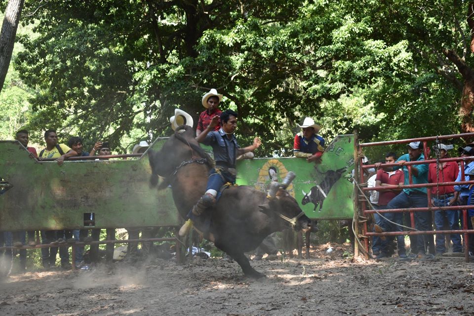 Jaripeo en Chiconamel MÁSNOTICIAS