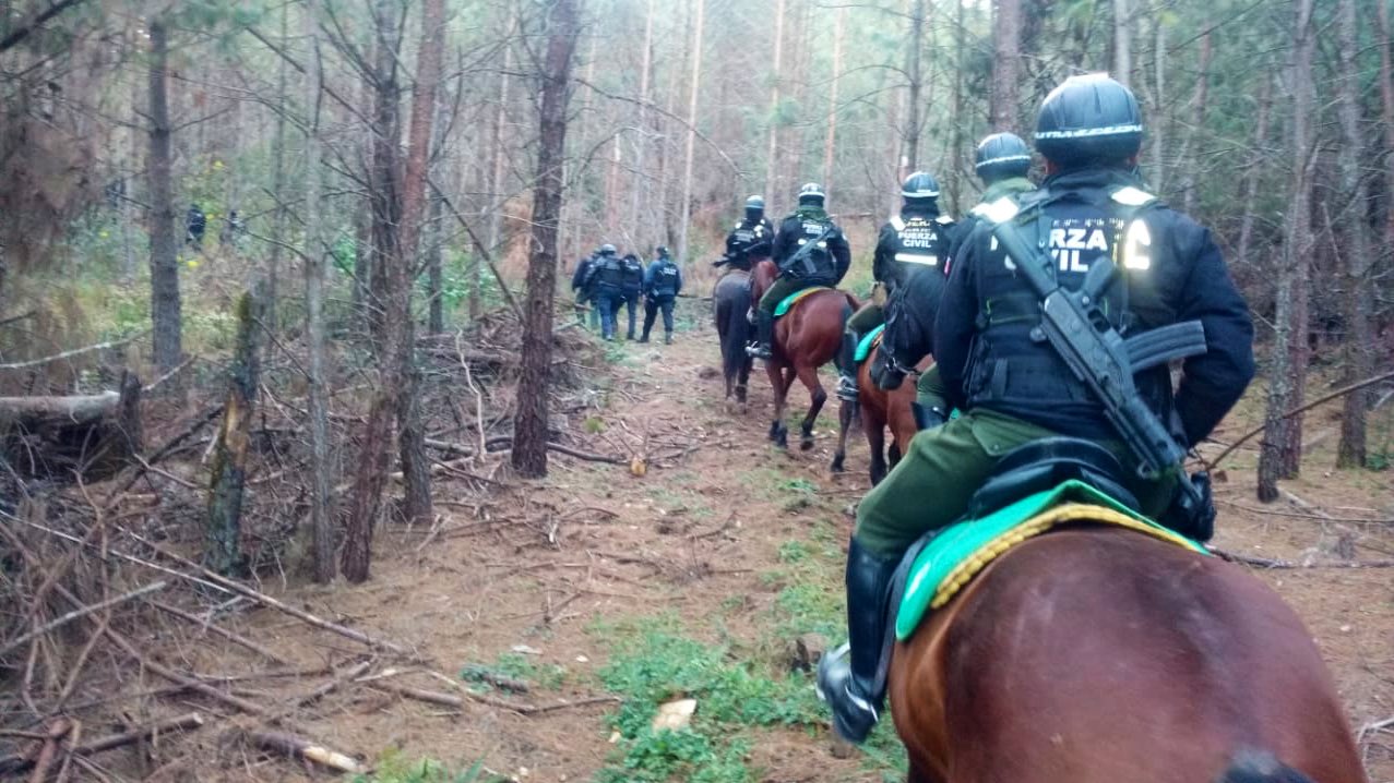 Policías de Veracruz y Puebla realizarán operativos para evitar la tala en el Cofre de Perote