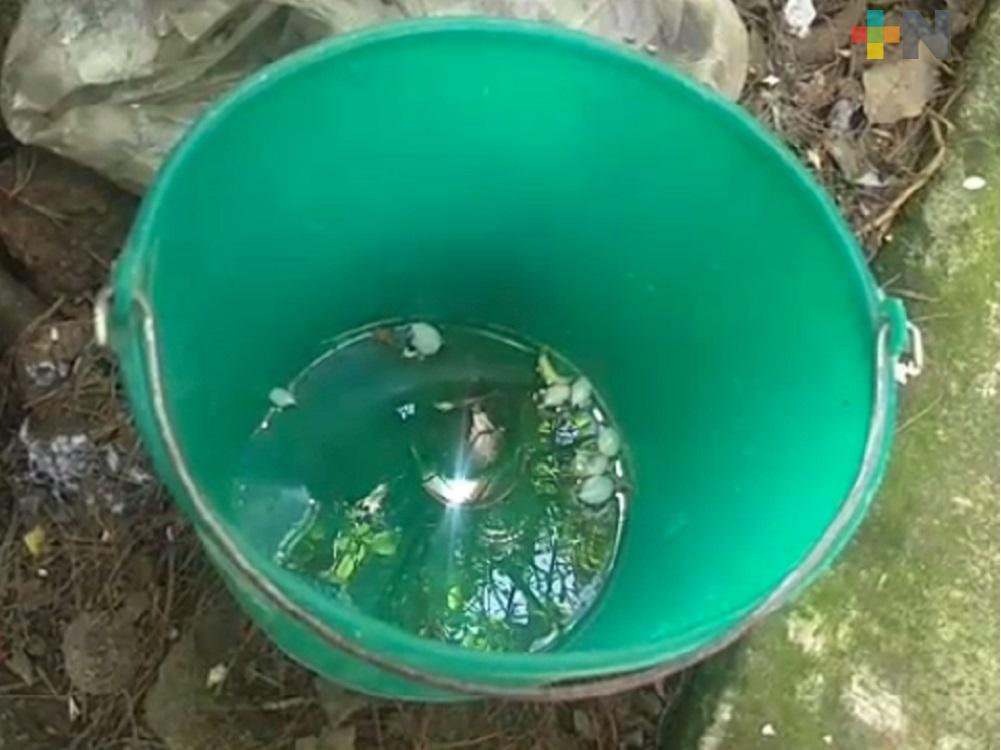 Desabasto de agua complica la prevención sanitaria de Covid 19 en Huayacocotla