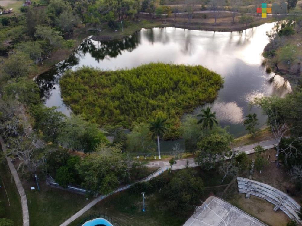 Durante contingencia, dan mantenimiento a las áreas verdes en Tantoyuca