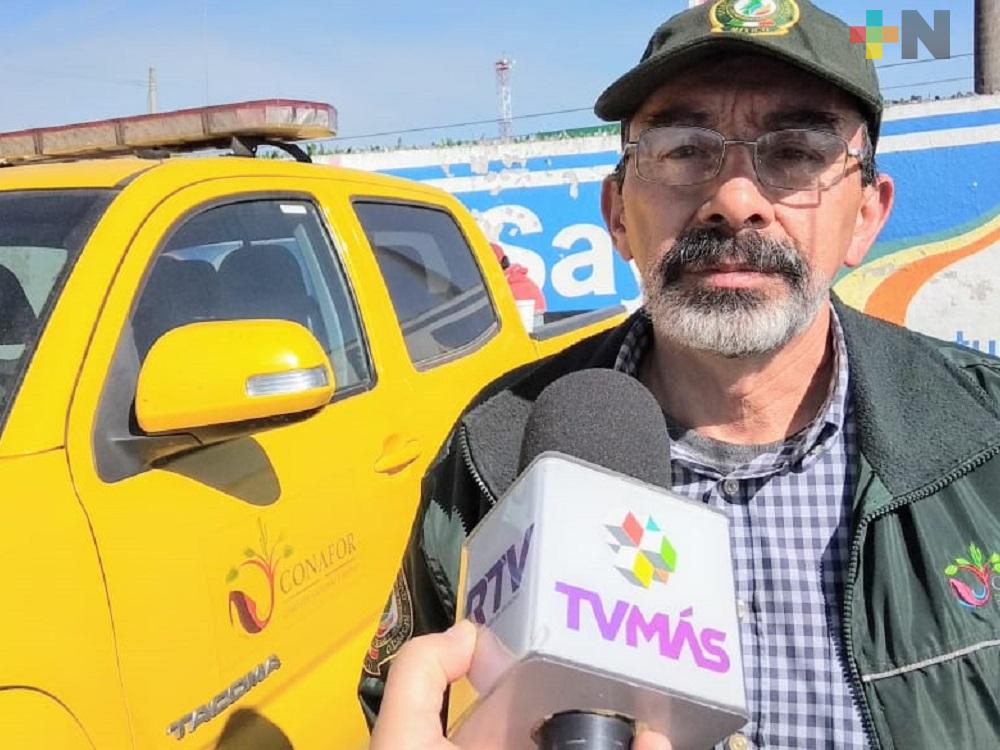 Sin incendios activos en el estado de Veracruz: Conafor