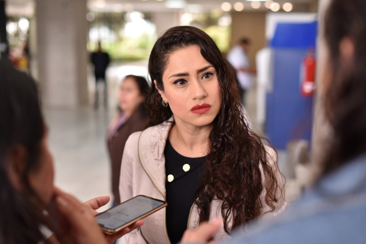 En Altotonga, diputada promueve medidas de sanidad para evitar contagios de COVID-19