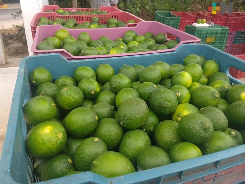 Clima y pandemia afectaron el precio de comercialización del limón