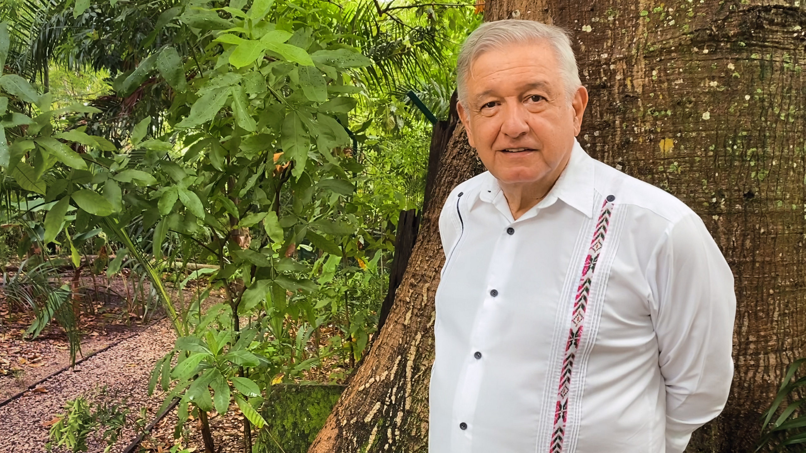 Que conservadores no coman ansias; habrá revocación de mandato: AMLO