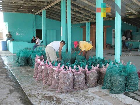 Productores de Tamiahua recibirán fertilizante para mejorar producción