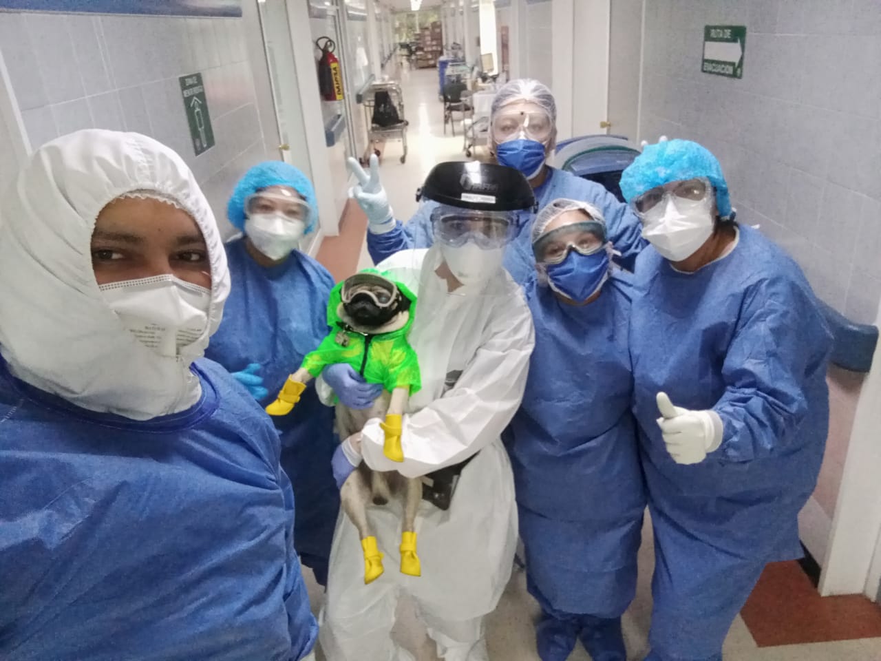 Trabajadores del Centro Médico Nacional del ISSSTE reciben terapia de convivencia canina