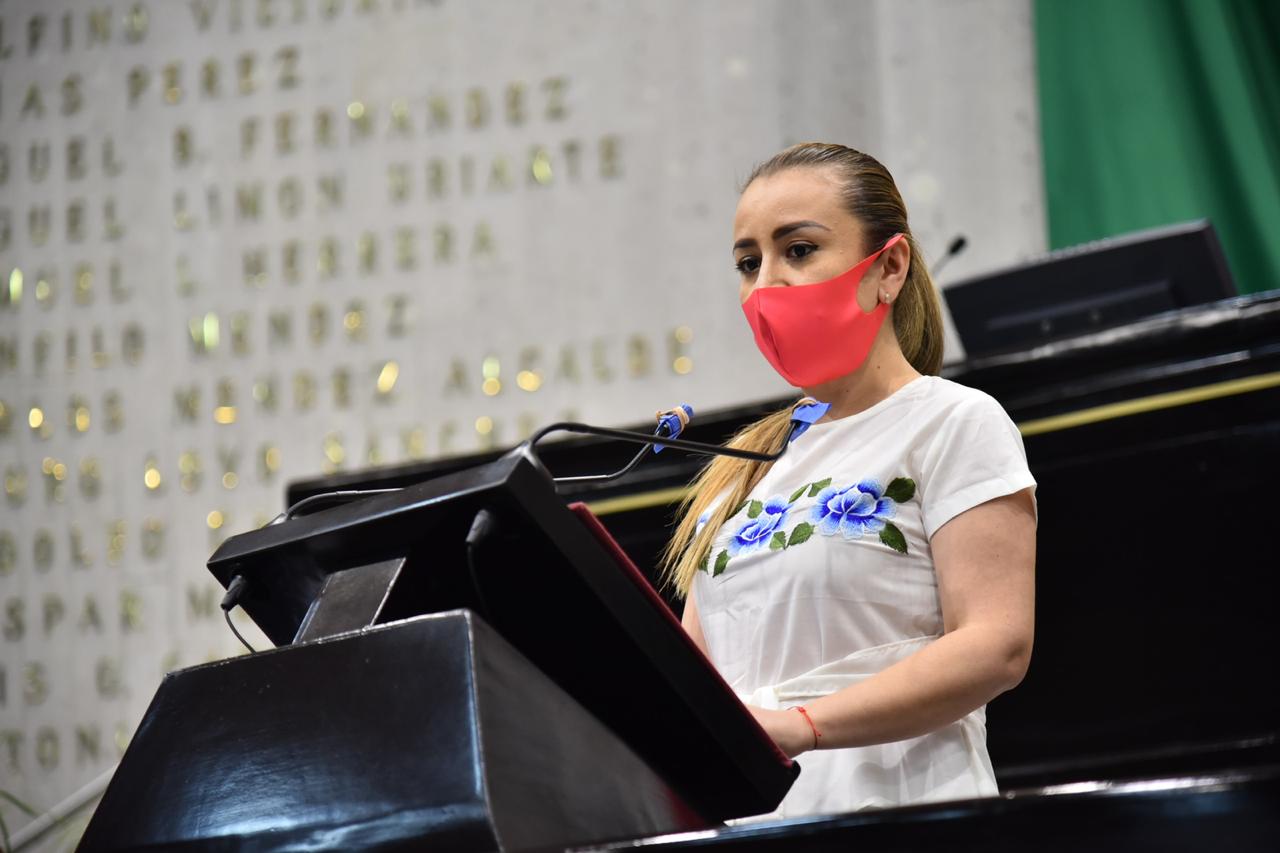 Diputada solicita al Ejecutivo realice acciones emergentes que erradiquen la violencia