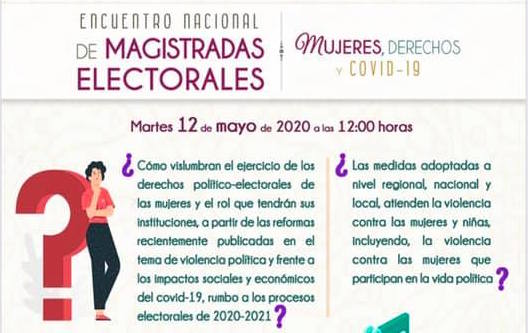Realizaron Encuentro Nacional de Magistradas Electorales de manera virtual