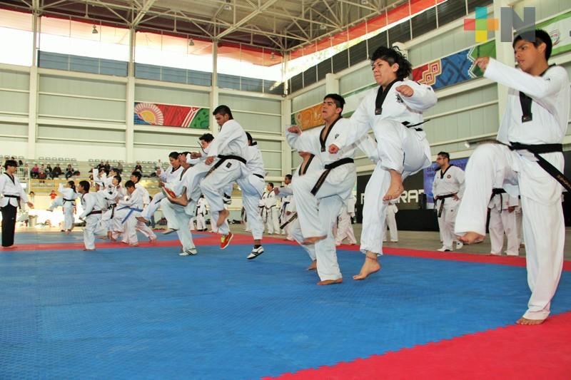 Veracruz competirá en Campeonato Nacional Mexicano de Poomsae Virtual