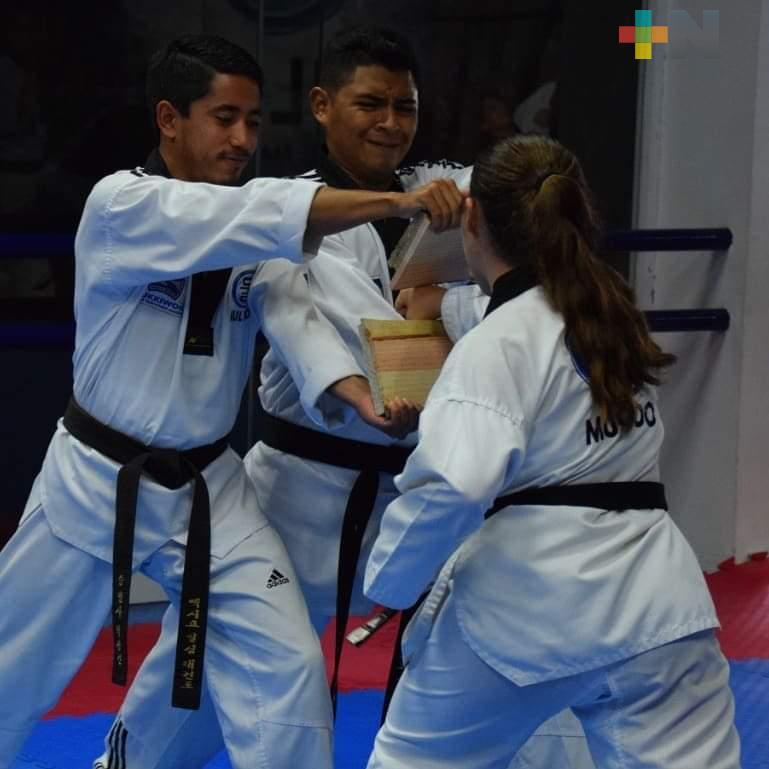 Mul Do Taekwondo Veracruz co ninvoca a “Desafío Virtual”