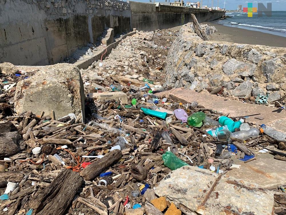 Greenpeace pide a coatzacoalqueños liberar playas de contaminación plástica