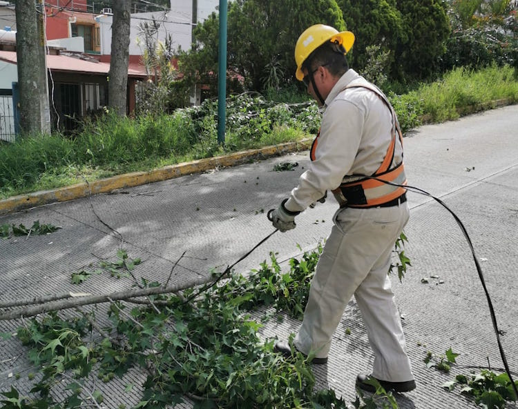 Atiende PC municipal afectaciones por vientos en Xalapa