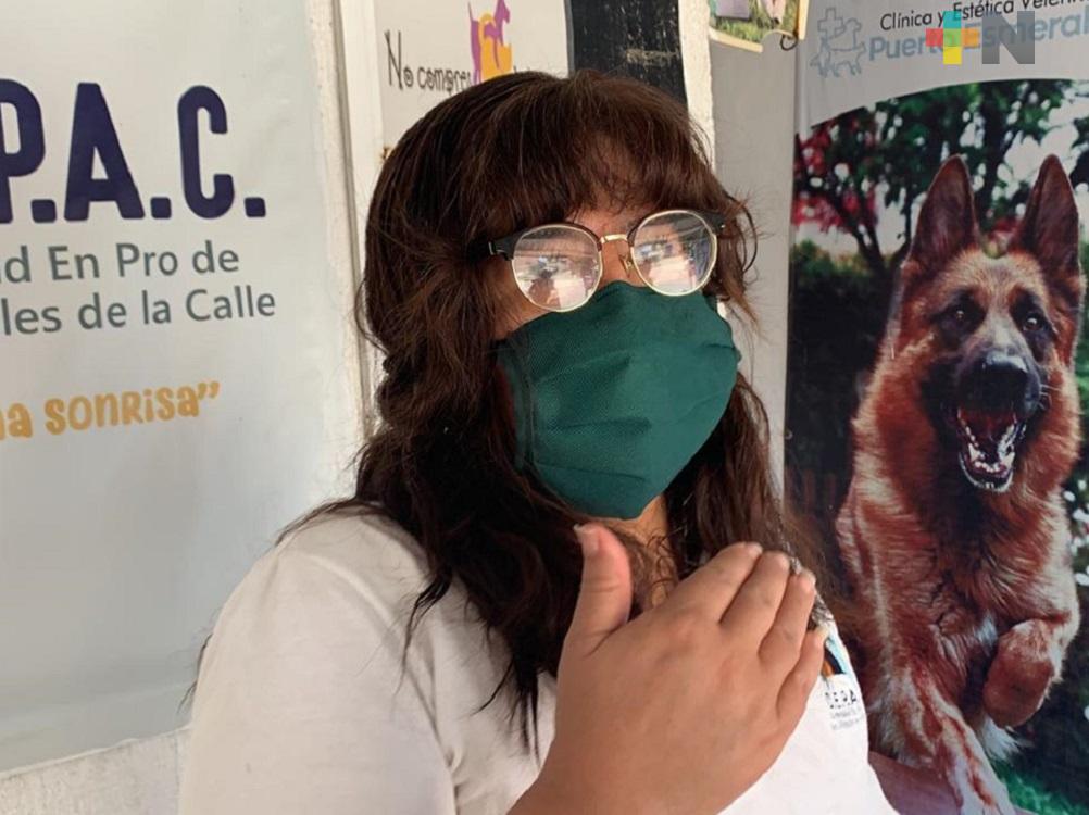 En Coatzacoalcos, asociación vende gorras con caretas para comprar croquetas para perros abandonados