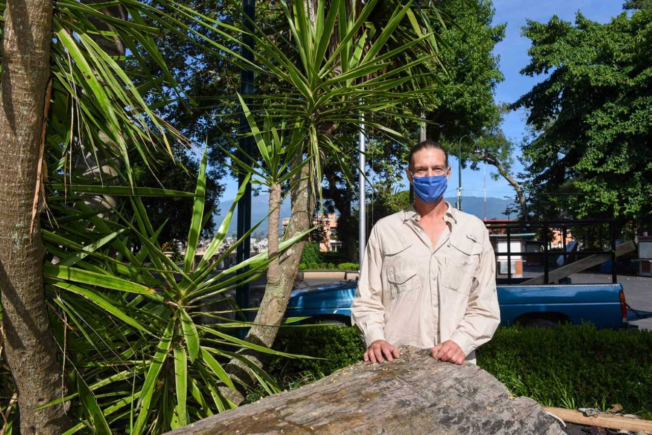Transformarán árbol muerto en escultura modular