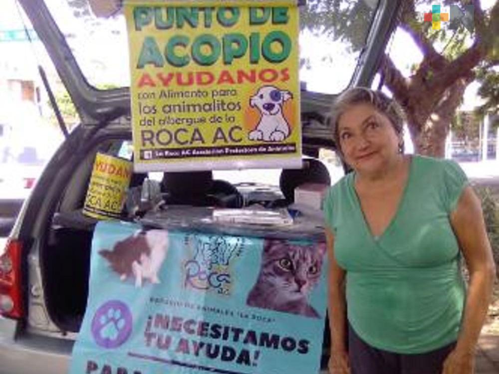 Albergue «La Roca» instalará centros de acopio para recaudar croquetas y apoyos económicos