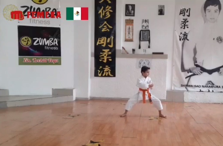 Karatecas veracruzanos brillan en Nacional Virtual FEMEKA
