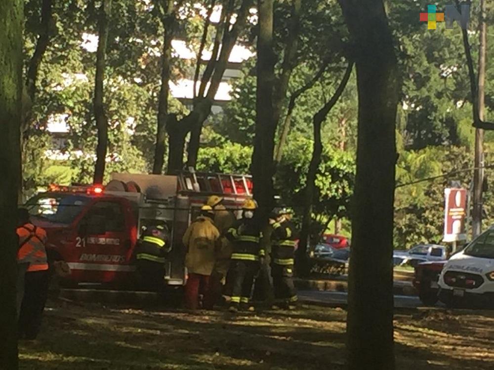 Personal del ayuntamiento y bomberos trabajan en parques y jardines de Xalapa