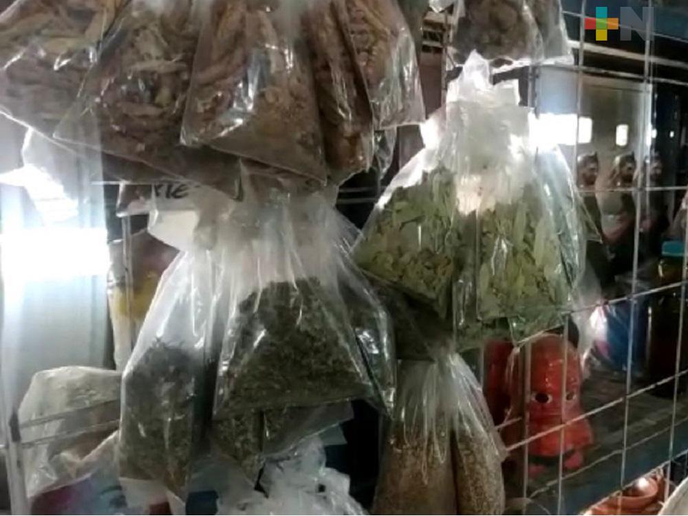 Por pandemia, hierbas medicinales triplican su precio en Coatzacoalcos