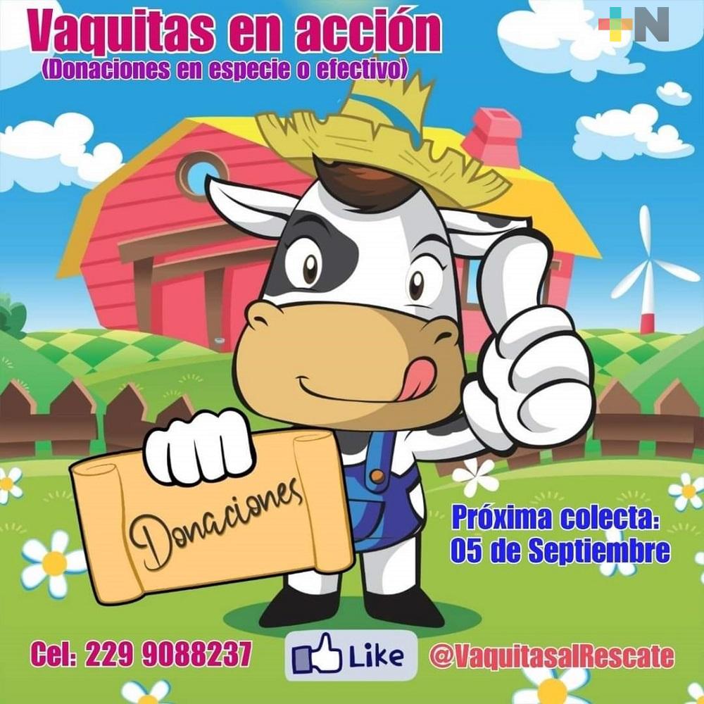 «Vaquitas en acción» realizará boteo para formar despensas y entregar a familias afectadas por pandemia