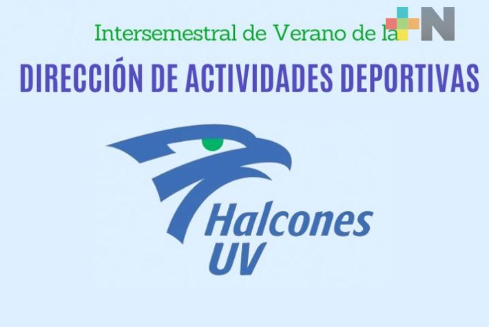 Exitoso curso deportivo intersemestral del AFEL, en línea