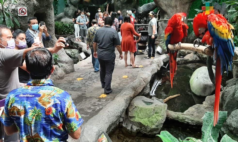 Reabre sus puertas el Acuario de Veracruz