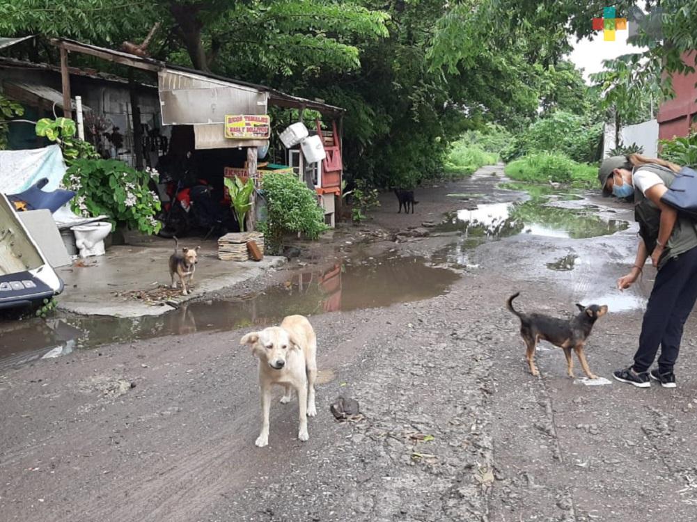 Realizan campaña para esterilizar perros, gatos y proteger fauna silvestre de reserva natural de Arroyo Moreno