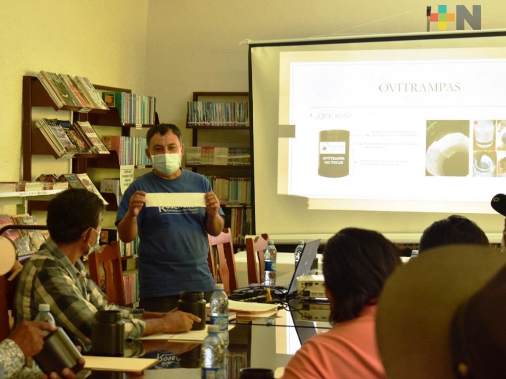 Combate permanente contra el dengue en Tlapacoyan