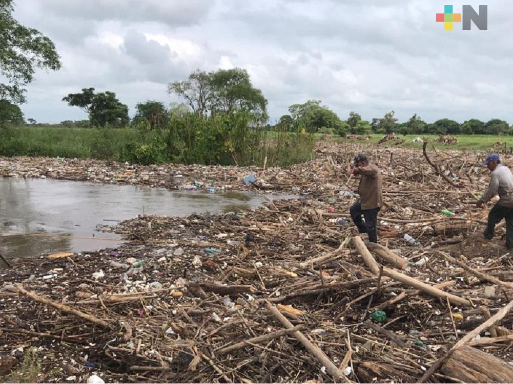 El río Blanco arrastra toneladas de palizada y desechos sólidos por intensas lluvias