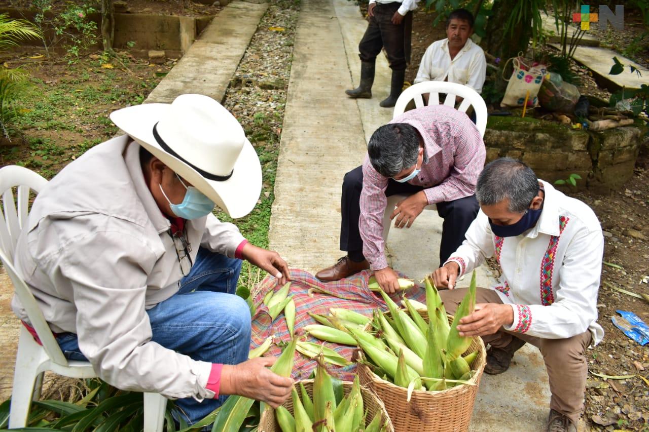 Chicomexóchitl, la ofrenda a San Miguel que prepara para el Xantolo