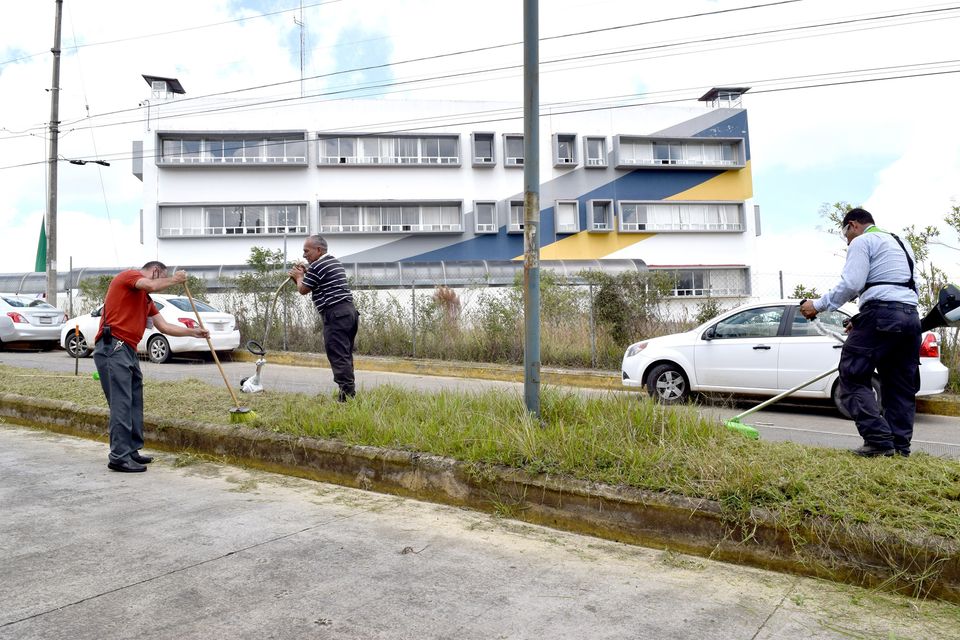 IPAX se suma a las labores de faena para el rescate de espacios públicos