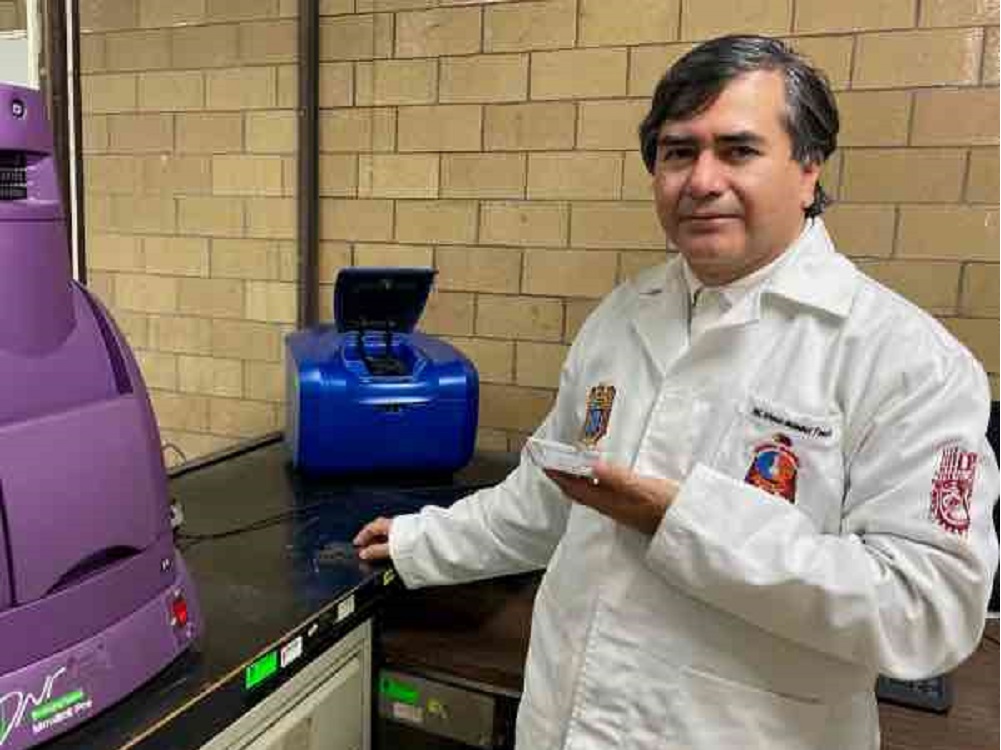Investiga el IPN bacteria causante del cáncer de estómago