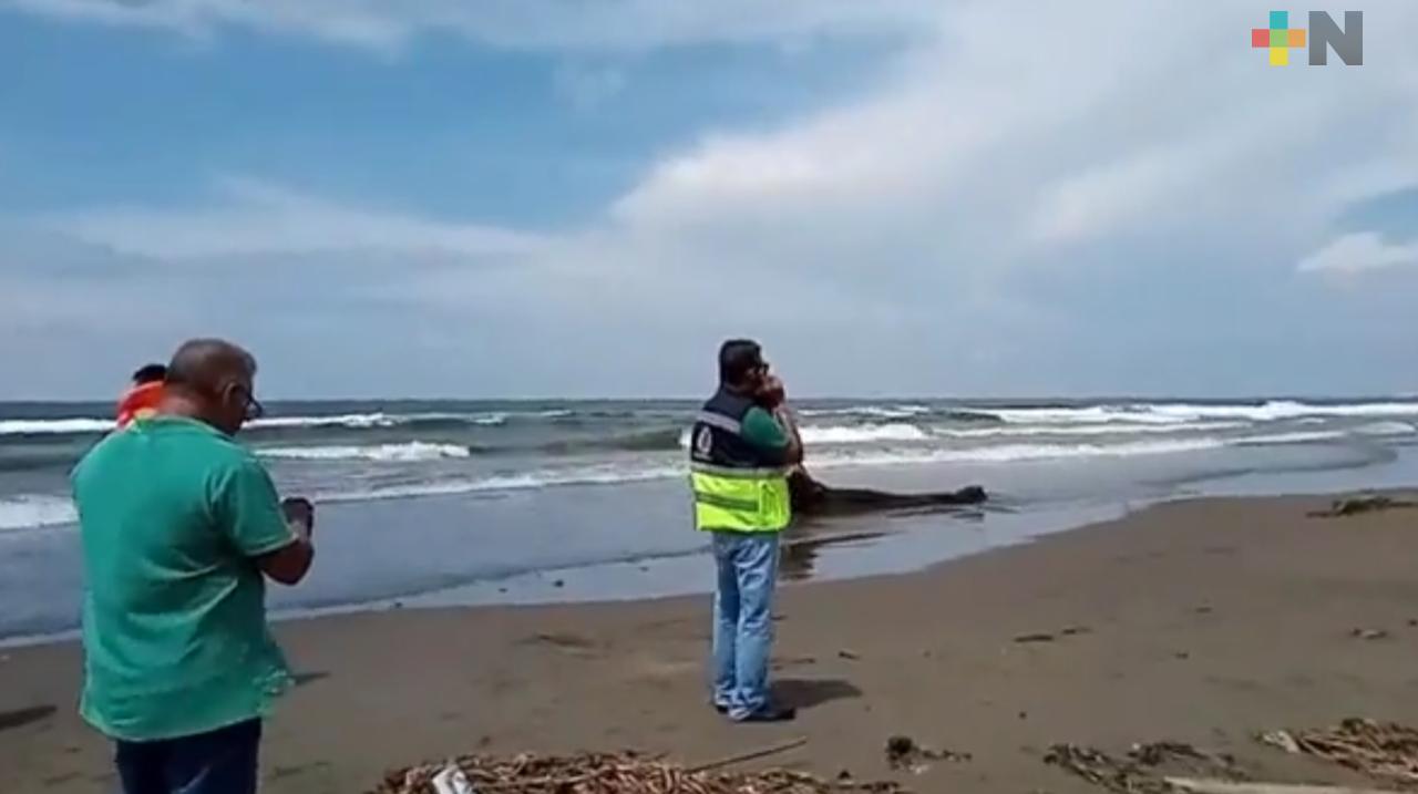 Muere joven ahogada en playas de Coatzacoalcos