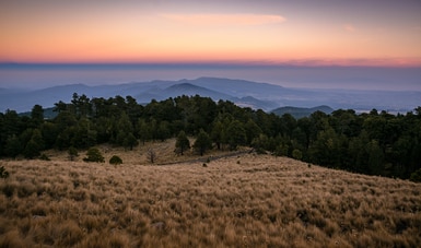 Lanzan Conafor y Reforestamos México 5ª edición de concurso de fotografía