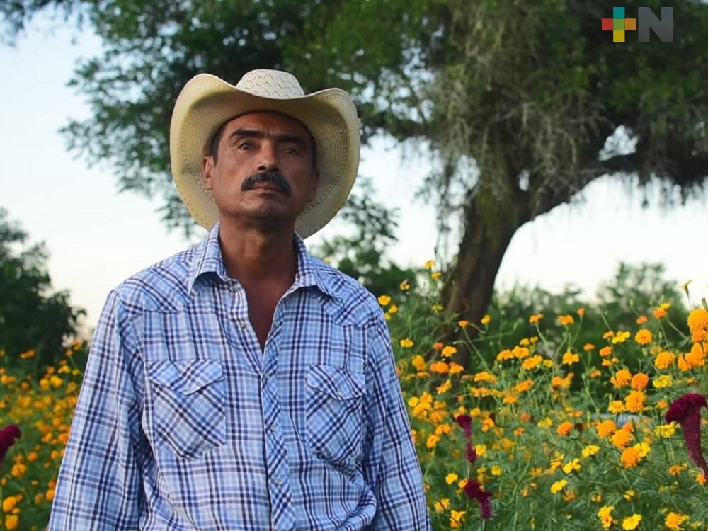 Agricultores de la Huasteca comenzaron la venta de flor de Cempasúchil